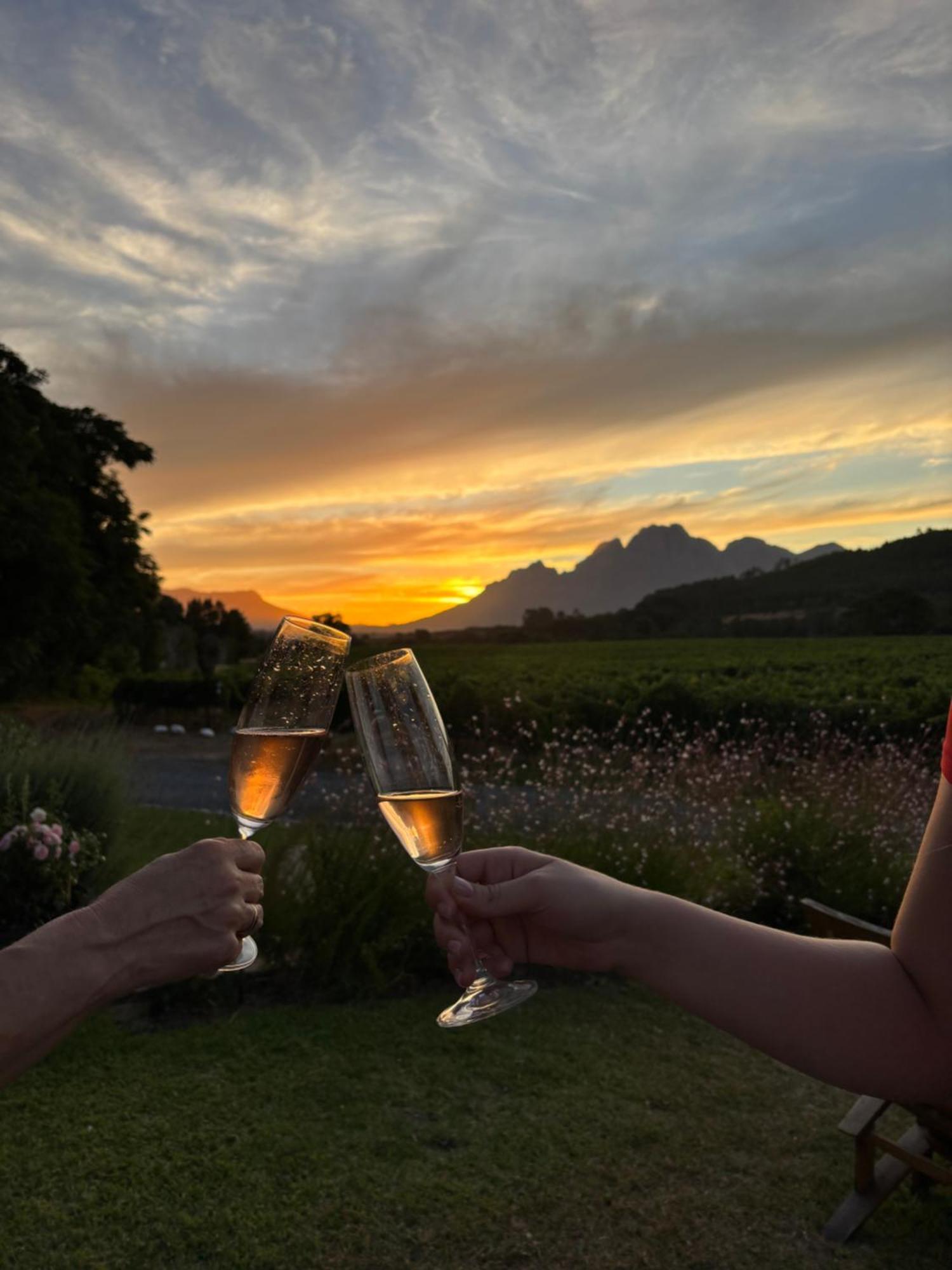 Lynx Wine Estate Hotel Franschhoek Exterior photo