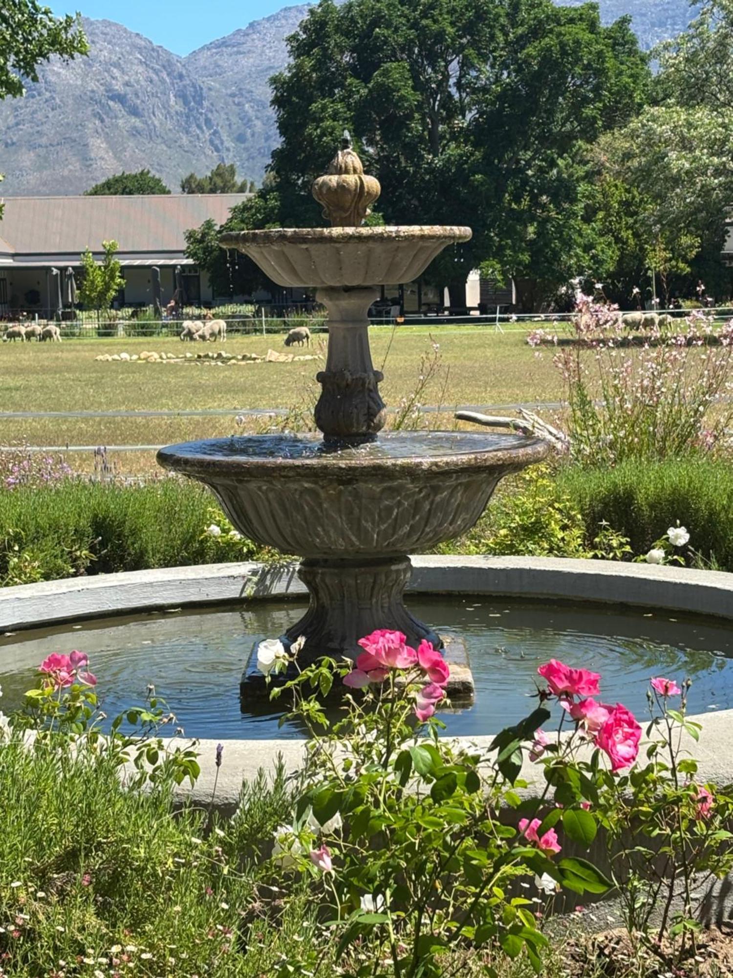 Lynx Wine Estate Hotel Franschhoek Exterior photo
