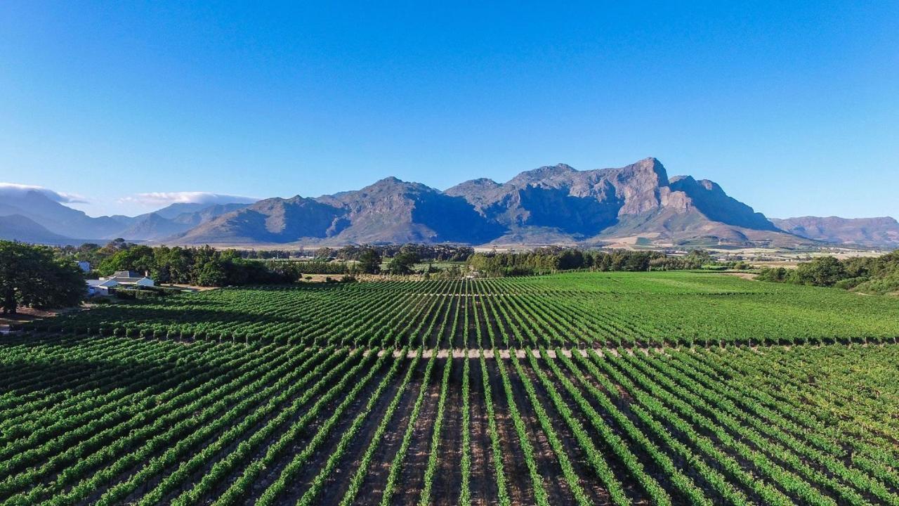 Lynx Wine Estate Hotel Franschhoek Exterior photo