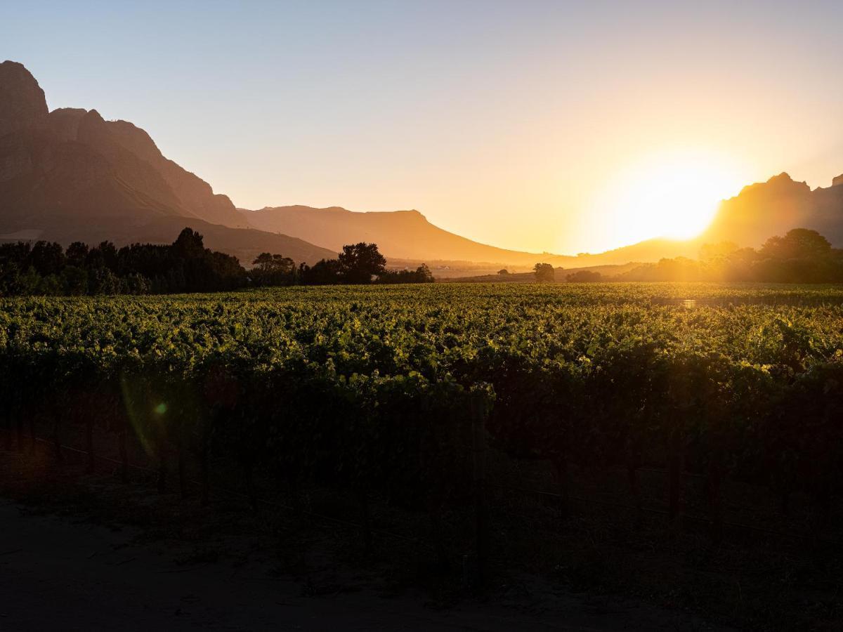 Lynx Wine Estate Hotel Franschhoek Exterior photo